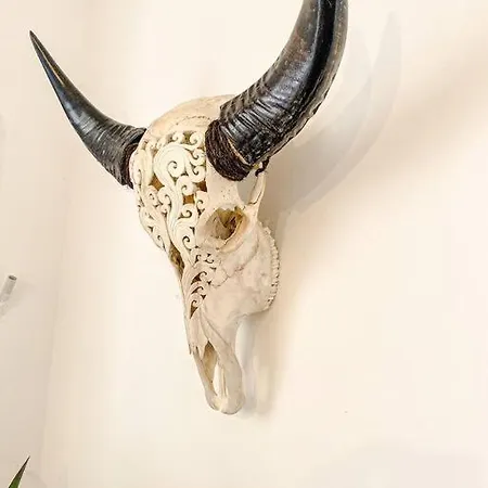 Valletta Vista Penthouse Where Sky Meets History By Solea